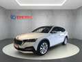 Skoda Octavia Combi Scout 2.0 TDI 4x4 DSG*AHK*MATRIX* Wit - thumbnail 1