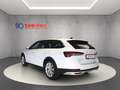 Skoda Octavia Combi Scout 2.0 TDI 4x4 DSG*AHK*MATRIX* Wit - thumbnail 5