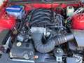 Ford Mustang 4.6 V8 GT Rood - thumbnail 15