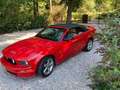 Ford Mustang 4.6 V8 GT Rood - thumbnail 1