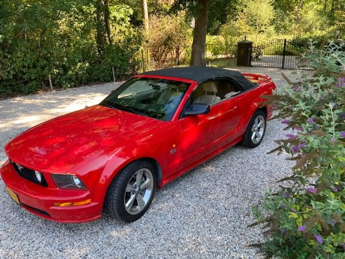 Ford Mustang 4.6 V8 GT Rood - 1