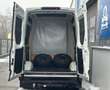 Iveco Daily 3.0 Diesel HKa 35 S V 3520 Aut. // 1.BESITZ // AHK Weiß - thumbnail 8