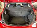 Lancia Ypsilon 1.2 8v Elefantino NEOPATENTATI Rosso - thumbnail 13