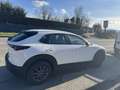 Mazda CX-30 CX-30 2.0 m-hybrid  2wd 122cv 6mt PREZZO REALE Bianco - thumbnail 5