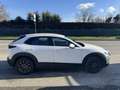 Mazda CX-30 CX-30 2.0 m-hybrid  2wd 122cv 6mt PREZZO REALE Bianco - thumbnail 4
