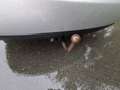 Audi A4 Limousine 1.8 TFSI Pro Line Business LEUKE AUTO RI Grijs - thumbnail 10