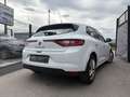 Renault Megane Experience Blanc - thumbnail 6