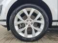 Land Rover Range Rover Evoque P300e AWD SE LED 20 Weiß - thumbnail 10