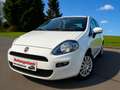 Fiat Punto Punto 1.2i*Euro5*Garantie 1an*Carpass* Blanc - thumbnail 1