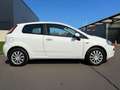 Fiat Punto Punto 1.2i*Euro5*Garantie 1an*Carpass* Blanc - thumbnail 3
