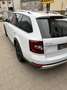 Skoda Octavia Scout 4x4 Weiß - thumbnail 2