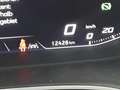 SEAT Ibiza Xcellence 1.0 TSI DSG Navi SHZ PDC RFK LED Blau - thumbnail 7