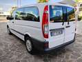 Mercedes-Benz Vito 2.2 113 CDI - 9 POSTI - AUTOMATICO Bianco - thumbnail 5