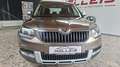 Skoda Yeti Ambition Outdoor 4x4 Braun - thumbnail 2
