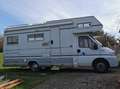 Fiat Ducato Pilote CAMPING CAR mit Alkoven Wit - thumbnail 3