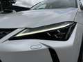 Lexus UX 300e Executive 54 kWh NL-AUTO MARK LEVINSON 360 CAMERA Wit - thumbnail 10
