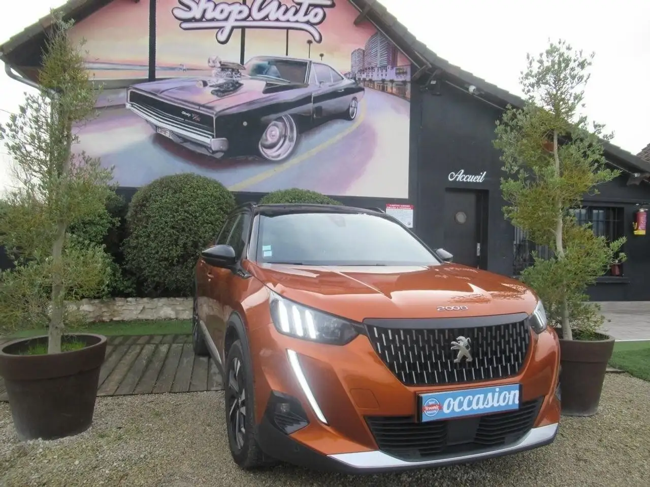 Peugeot 2008 1.5 HDI GARANTIE 12 MOIS 3004