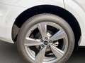 Audi Q3 TDI 110 kW  intense Weiß - thumbnail 6