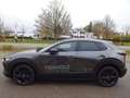 Mazda CX-30 Homura 2.5L e-SKYACTIV G 140PS Grau - thumbnail 4