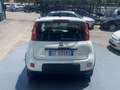 Fiat New Panda 1.0 HYBRID CITY LIFE Blanc - thumbnail 5