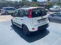 Fiat New Panda 1.0 HYBRID CITY LIFE Blanc - thumbnail 6