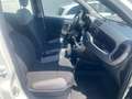 Fiat New Panda 1.0 HYBRID CITY LIFE Blanc - thumbnail 14