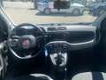Fiat New Panda 1.0 HYBRID CITY LIFE Blanc - thumbnail 11