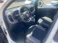 Fiat New Panda 1.0 HYBRID CITY LIFE Blanc - thumbnail 10