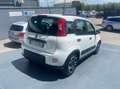 Fiat New Panda 1.0 HYBRID CITY LIFE Blanc - thumbnail 4