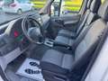 Volkswagen Crafter 2.0 TDI 136CV BUS 9 POSTI Bianco - thumbnail 4