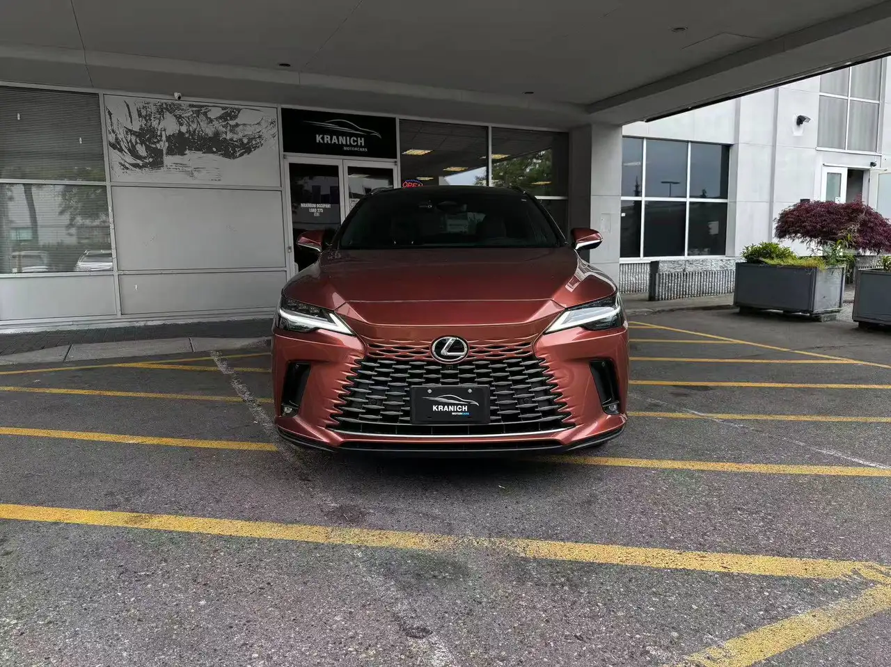 Lexus RX снимка Lexus RX