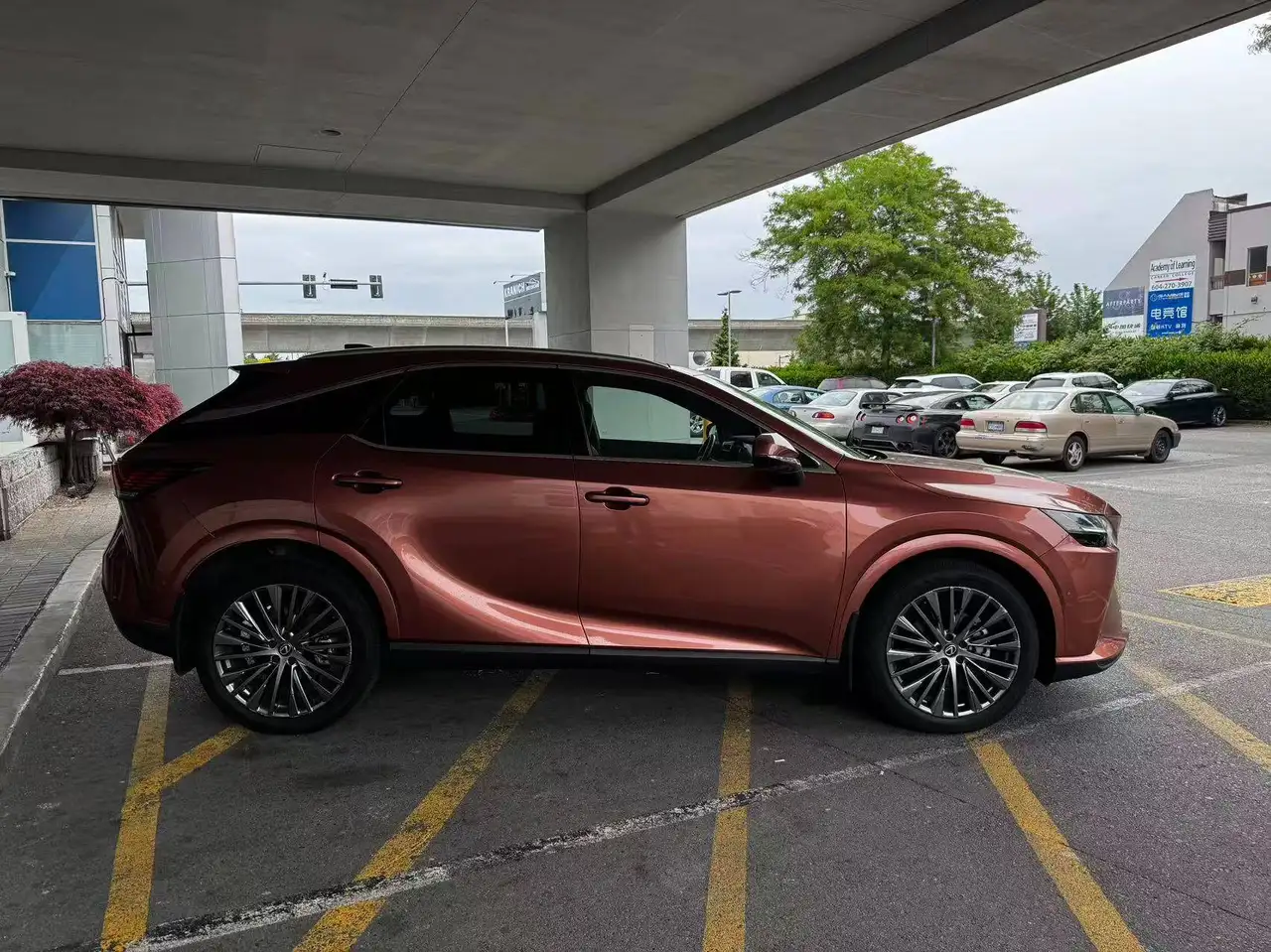 Lexus RX снимка Lexus RX