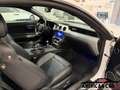 Ford Mustang 2.3 Ecoboost - Boite Manuelle Blanco - thumbnail 17