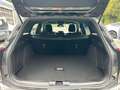 Ford Focus ST-Line,1Hd.,DesignPaket4,ACC,LED,B&O Gris - thumbnail 11