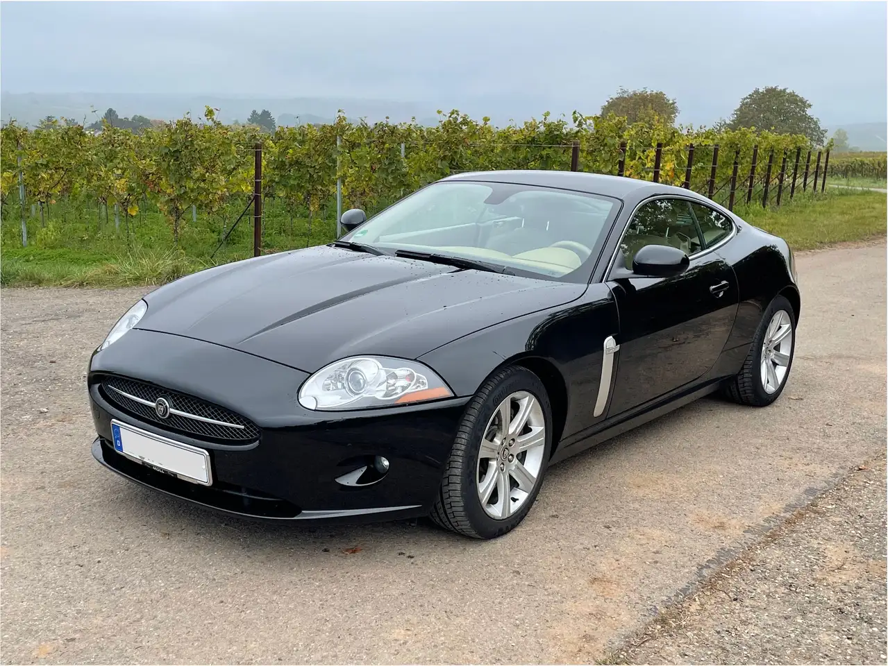 Jaguar XK