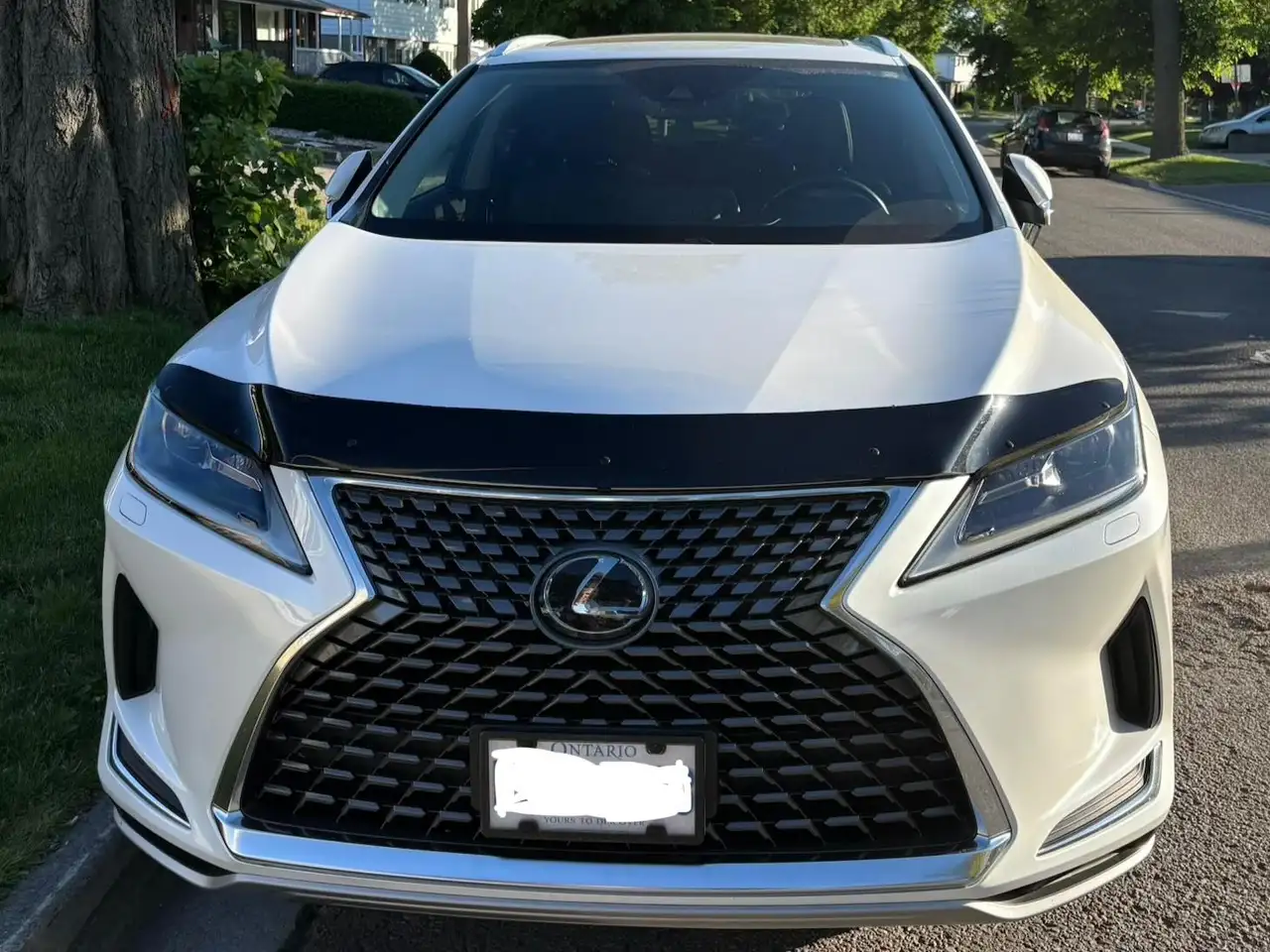2021 Lexus RX
