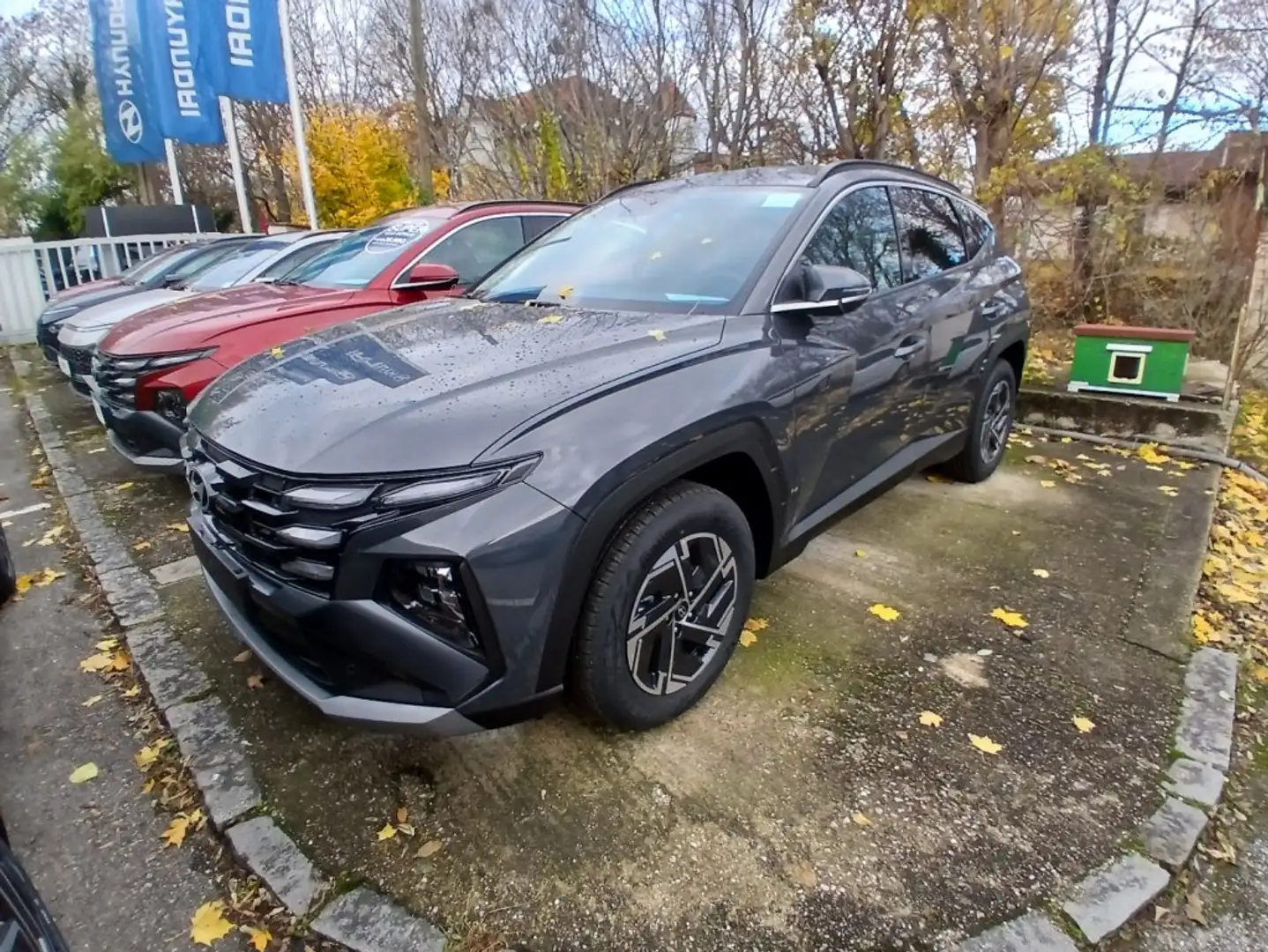 Hyundai TUCSON NX4 Jubile 1,6 T-GDi 2WD 48V t5bj1 Gris - 1