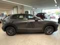 Mazda CX-30 CX-30 2.5 m-hybrid Prime Line 140cv NUOVA Gri - thumbnail 4