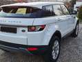 Land Rover Range Rover Evoque 5p 2.2 td4 Prestige 150cv Bianco - thumbnail 4