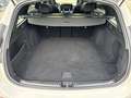 Mercedes-Benz C 220 d T-Modell Cam SHZ Weiß - thumbnail 15