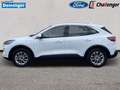 Ford Kuga 2.5 Duratec Plug-In Hybrid Titanium Autom. NAVI/DA Weiß - thumbnail 3