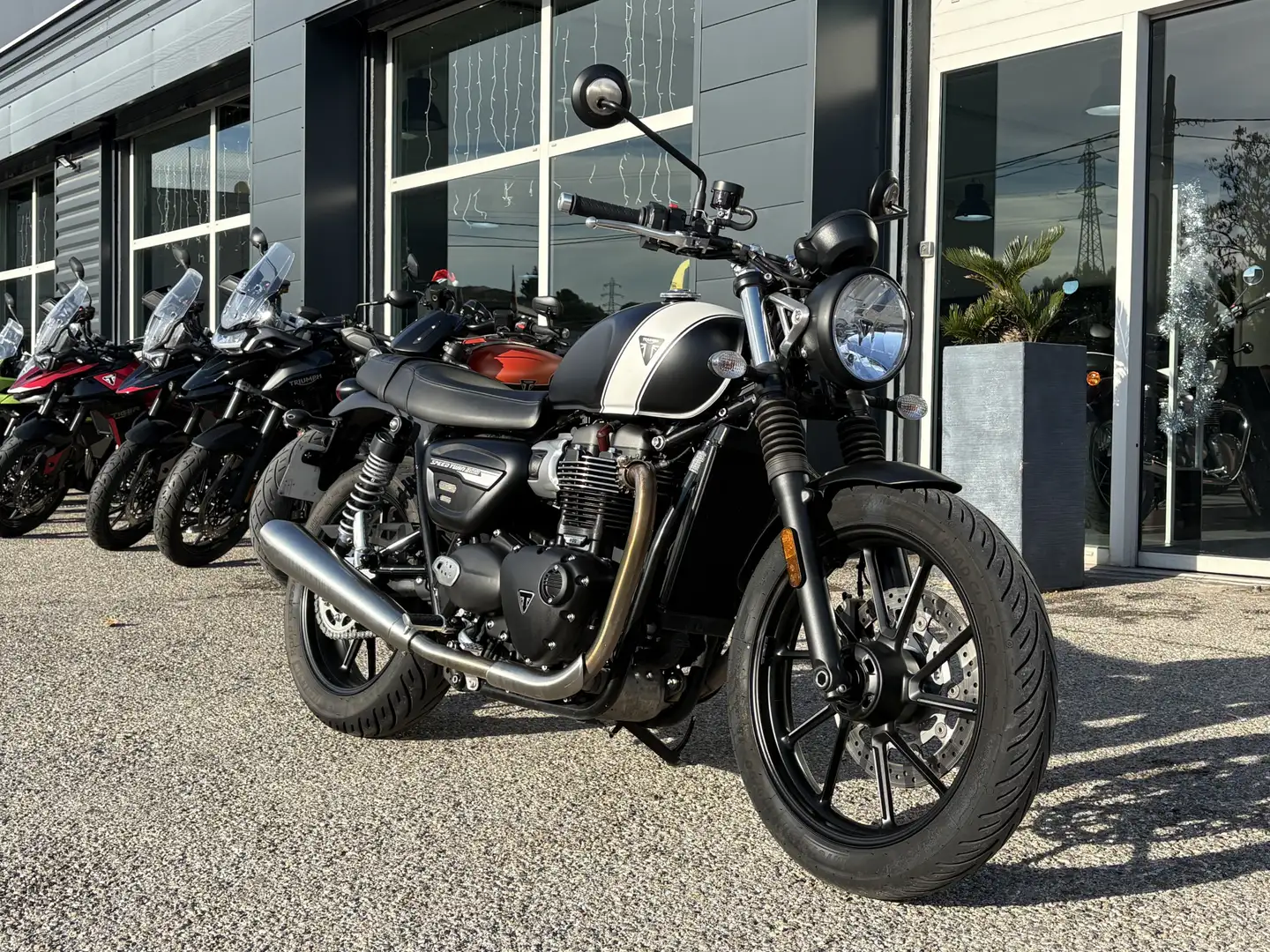 Triumph Speed Twin Noir - 2