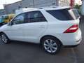 Mercedes-Benz ML 250 BlueTEC Blanc - thumbnail 6