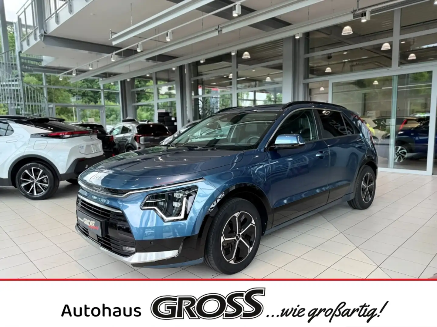 Kia Niro Plug-in Hybrid Vision 1.6 EU6d Navi Digitales Cock Blau - 1