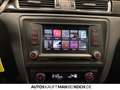 SEAT Toledo 1.0 TSI Style NAVI LED PDC KAMERA SHZ Grau - thumbnail 12