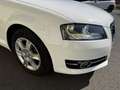 Audi A3 Sportback 1.2 TFSI -Privatverkauf TOP!! Weiß - thumbnail 16