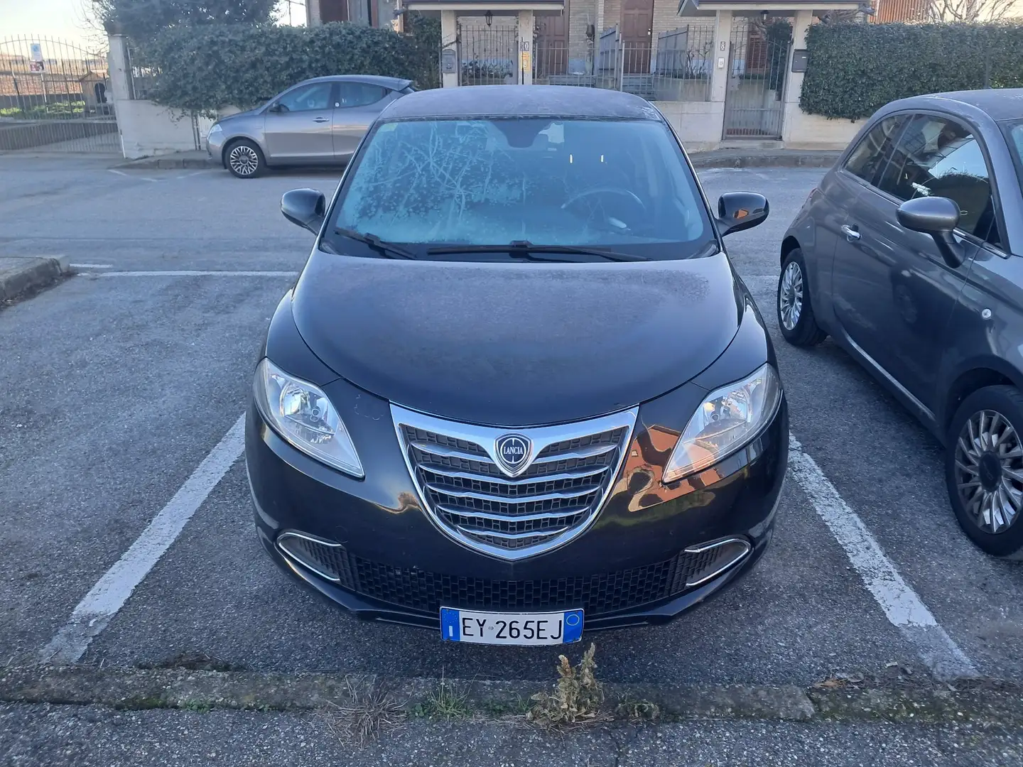 Lancia Ypsilon 1.3 mjt Elefantino s&s 95cv my14 - 2