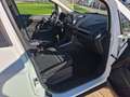 Ford EcoSport 1.0 EcoBoost Trend 100 (4.75) Blanco - thumbnail 21