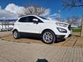 Ford EcoSport 1.0 EcoBoost Trend 100 (4.75) Blanco - thumbnail 29