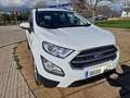 Ford EcoSport 1.0 EcoBoost Trend 100 (4.75) Blanco - thumbnail 27
